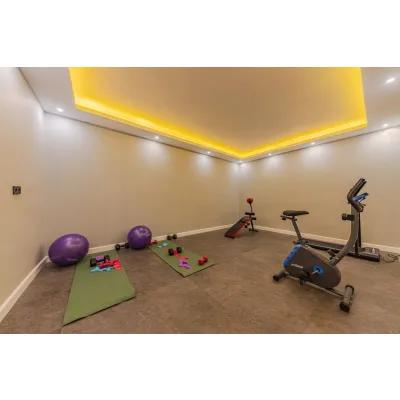 RhinoBoard Ceiling Supply & Fit